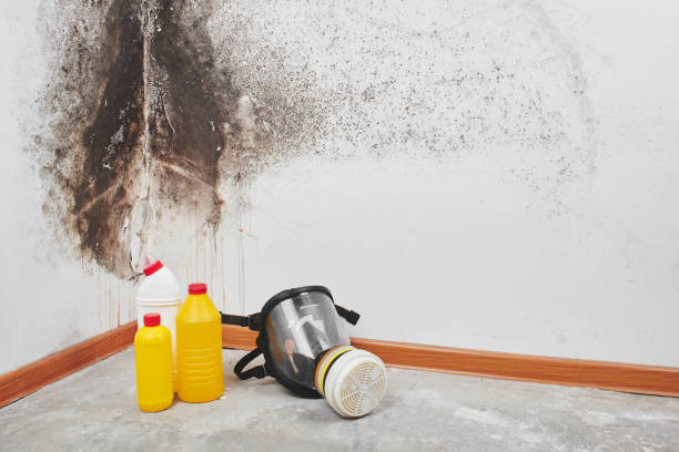 Best Crawl Space Mold Remediation in Hebron, OH