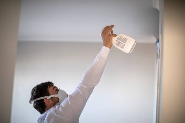 Best Bathroom Mold Remediation in Hebron, OH