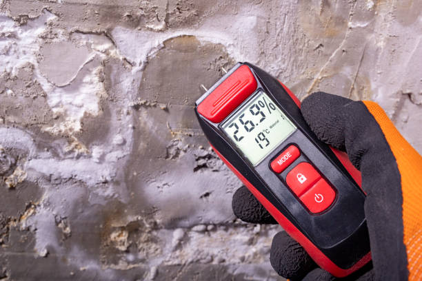 Best Attic Mold Remediation in Hebron, OH