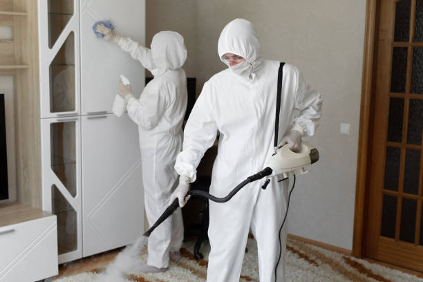 Best HVAC Mold Remediation in Hebron, OH